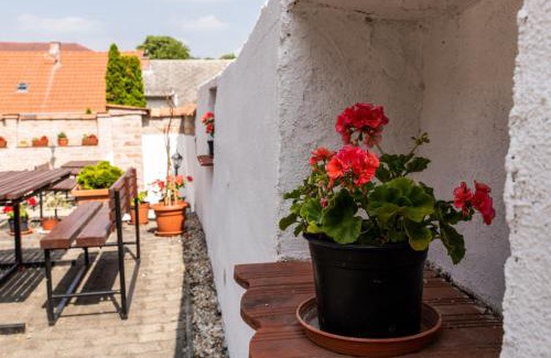 Sopron Bed & Breakfast | Fényes Vinorium