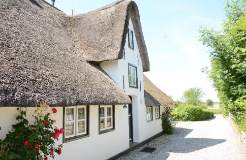 Midlum House | Föhrienhaus