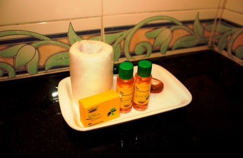 Peelamedu Hotel | FabExpress Clover Castle