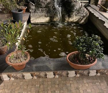 Sualkuchi Apartment | Fad A Fish Homestay