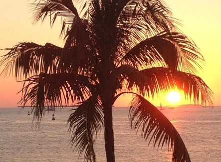 Edgewood House | Family, Couples Retreat near Airport, Cruise Port & Beaches