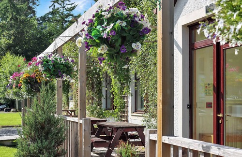 Pitlochry Cottage | Family Lodge No. 2 The Place Downstairs - UK45691