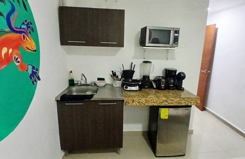 Downtown Cancun Hotel | Family Room with bunk bed ideal for families, in the heart of Cancun