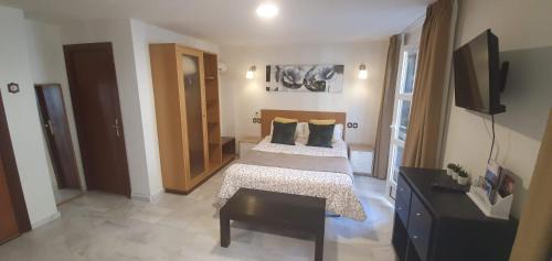 Centro Apartment | Fan Flat Carretería