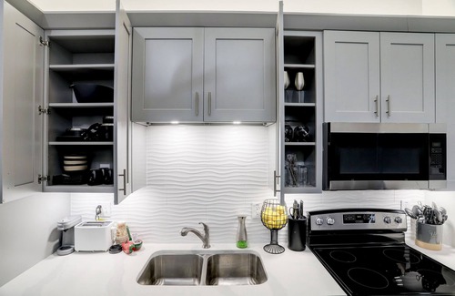 Downtown Houston Condo | Fantastic Downtown Loft with Direct access to Metro Rail Pet Friendly