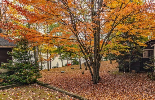 St Germain Cabin | Fantastic lakeside cottage on Little Saint Germain Lake