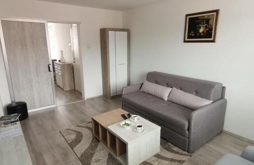 Bajina Basta Apartment | Fantastik