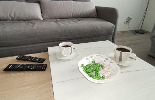 Bajina Basta Apartment | Fantastik