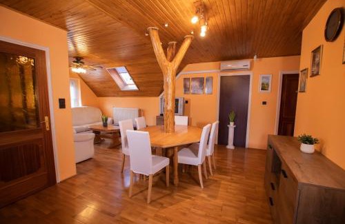 Balatonszentgyoergy Apartment | Farkas Guesthouse