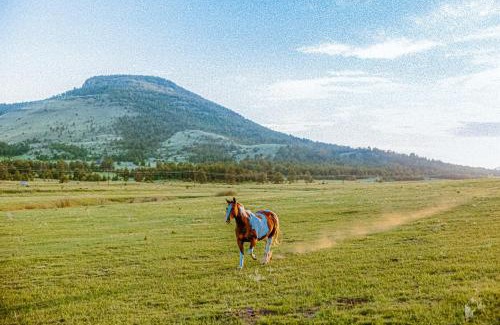 Colorado Springs House | Farm House - Lorrayne Ranch