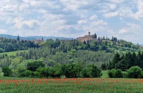Monte Santa Maria Tiberina House | Farmhouse in Monte Santa Maria Tiberina with garden