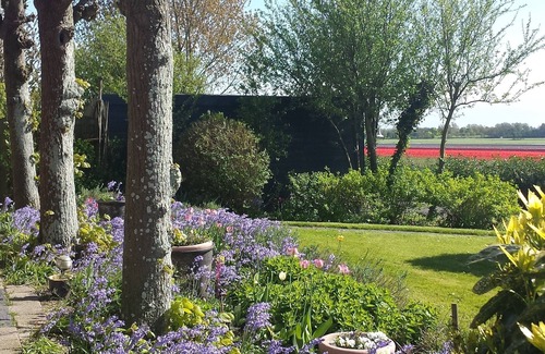Westwoud House | Farmhouse at half-hour Amsterdam and 10 minutes Hoorn, Enkhuizen and Medemblik