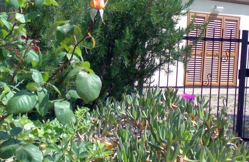 Cavo Apartment | Farmhouse/Chalet in the Archipelago Park, Nature, Sea, Culture, Relax