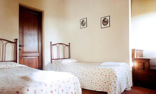Colleoli House | Fattoria di Colleoli