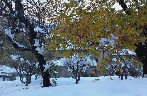 Roncoscaglia Bed & Breakfast | Fattoria La Guedrara