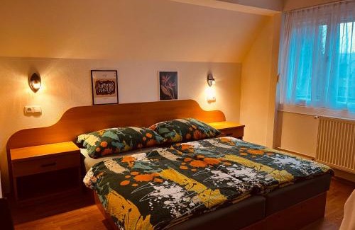 Bogacs House | Favilla Apartmanok