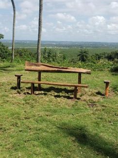 Ilha de Itamaraca House | FAZENDA BOSQUE DAs PALMEIRAS