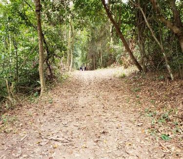 Ilha de Itamaraca House | FAZENDA BOSQUE DAs PALMEIRAS