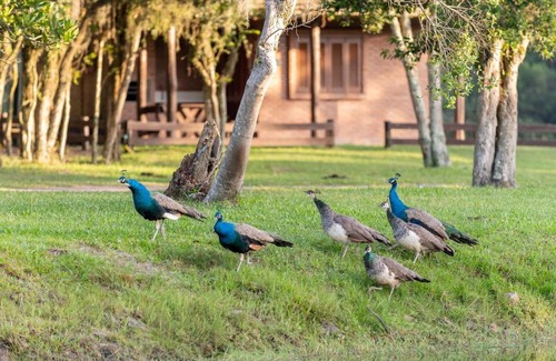 Maquine House | Fazenda Pontal