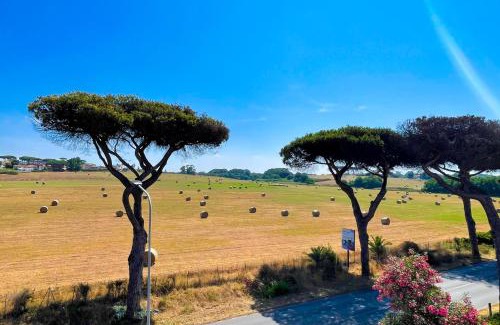 Lavinio Lido di Enea Apartment | FELYX APARTMENT - Bright, Spacious, and 100 mt from the waves - Lavinio Mare