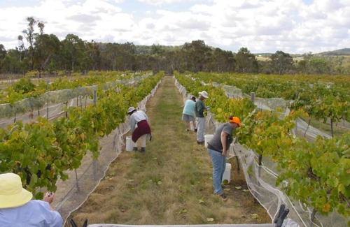 Ballandean House | Fergies Hill Spa Cottage @ Granite Ridge Wines