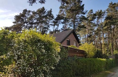 Lubmin House | Ferienhaus am Dünenwald - DH