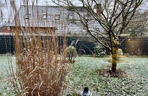Weener House | Ferienhaus Kleine Auszeit 25510