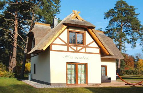 Zirchow House | Ferienhaus Lotusblume in Zirchow