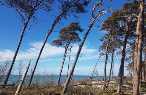 Zingst House | Ferienhaus mit Garten in Zingst, cleaning included