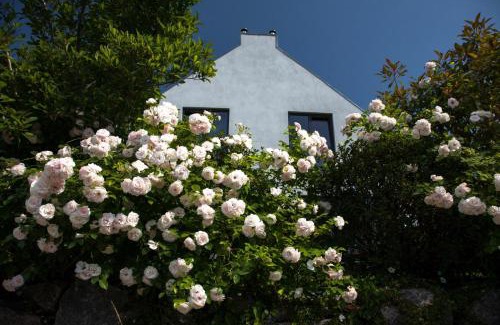Sellin Apartment | Ferienhaus Sonnensteg 23