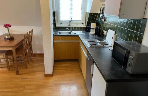 Meschede Apartment | Ferienhof Kotthoff am Hennesee