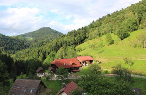 Bad Peterstal-Griesbach House | Ferienparadies Maierbauernhof
