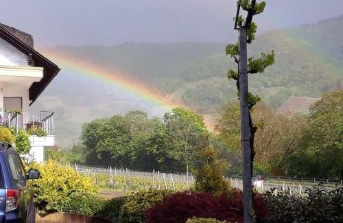 Nehren House | Ferienweingut-Liebfried