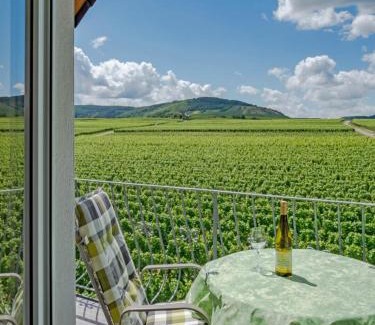 Kowerich Apartment | Ferienweingut Winnebeck