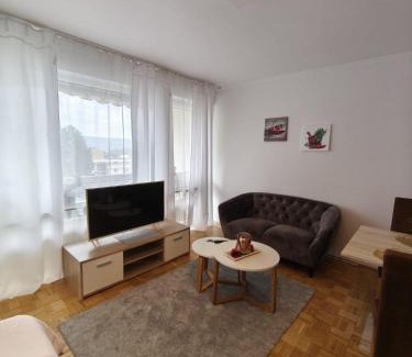 Bad Neuenahr-Ahrweiler Apartment | Ferienwohnung Luiza