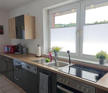 Gemund Apartment | Ferienwohnung 2 Flüsse mit Dachterrasse für 6 Gäste und max 2 Hunde in 1A Lage