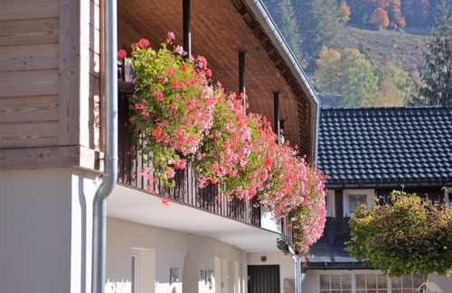 St. Blasien Apartment | Ferienwohnung 7 Feldberg 42qm, 1 Schlafzimmer, max. 4 Personen