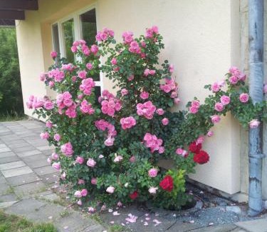Neusalza-Spremberg Bed & Breakfast | Ferienwohnung am Spreeradweg