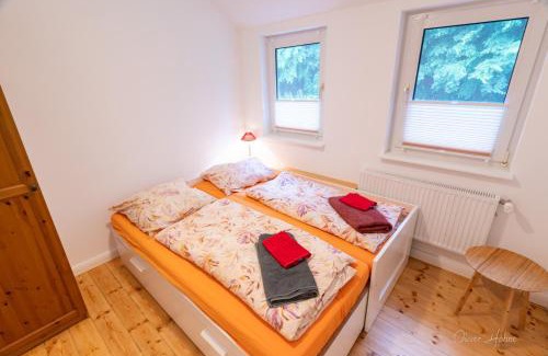 Bad Laasphe Apartment | Ferienwohnung am Waldrand