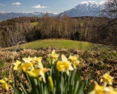 Piding Apartment | Ferienwohnung auf dem Högel in Piding