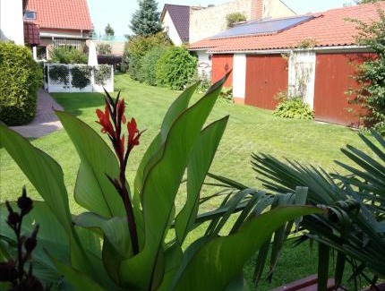Markische Heide Apartment | Ferienwohnung Blick zu den Sternen