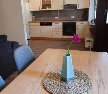 Todtnau Apartment | Ferienwohnung-Einklang im schönen Südschwarzwald