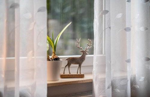 Hornberg Apartment | Ferienwohnung Gaby Lehmann