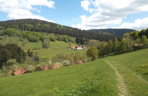 Maibrunn Apartment | Ferienwohnung Lindenhof