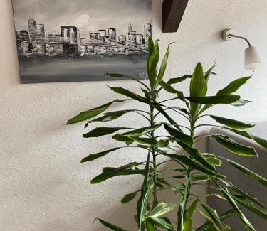 Traben-Trarbach Apartment | Ferienwohnung Malk