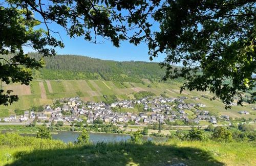Burg Apartment | Ferienwohnung Metzen