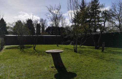 Suderneuland I Apartment | Ferienwohnung nähe Bahnhof ZOB