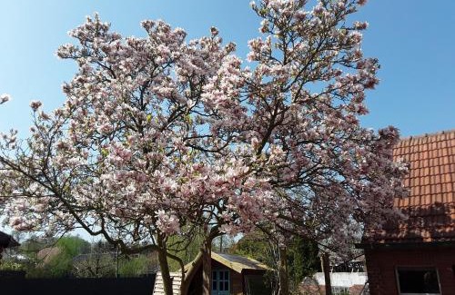 Stapelmoor Apartment | Ferienwohnung Ostfriesland