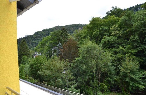 Bad Bertrich Apartment | Ferienwohnung Panorama