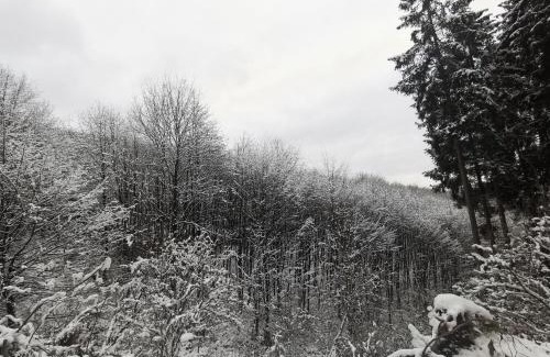 Meggen Apartment | Ferienwohnung Rauszeit Lennestadt Sauerland